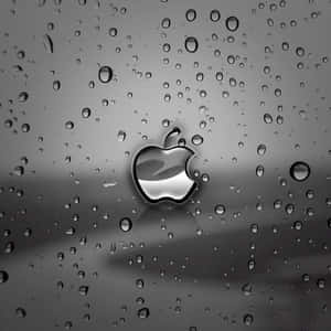 暗色可爱iPad — 可爱 iPad 壁纸