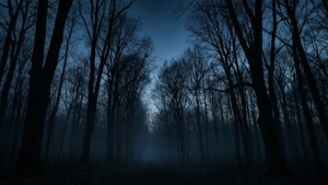 暮色中黑暗森林的剪影，伴有薄雾和星光。 — 黑色美学动图 壁纸