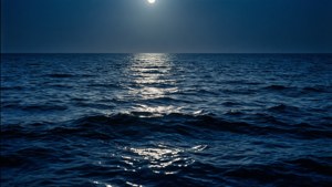 月光下平静的深蓝海浪，适合营造宁静美感的壁纸。 — 深蓝美学动图 壁纸