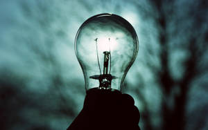 月光笼罩灯泡 — 黑暗森林 壁纸