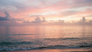 宁静的海洋日出，柔和色彩倒映在水面上。 — 海洋 壁纸