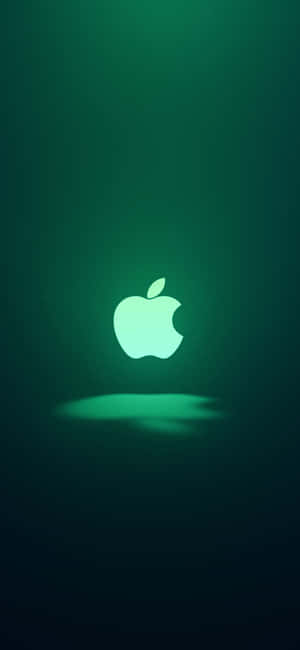 iPhone 11 绿色 — Pixel 8 壁纸