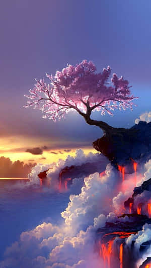 樱花背景 — 樱花 壁纸