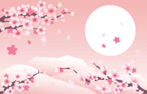 樱花背景 — 樱花 壁纸
