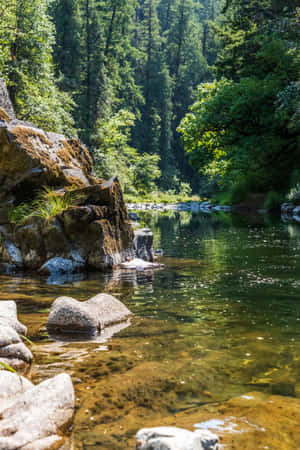 河流背景 — Vivo Pad6 Pro 壁纸