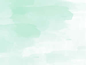 浅绿色背景 — 浅绿色美学 壁纸