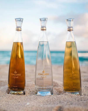 海滩上的Cincoro特基拉酒瓶 — 夏天 壁纸