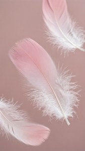 浅粉与白色渐变羽毛轻柔飘浮。 — 浅粉色美学 壁纸