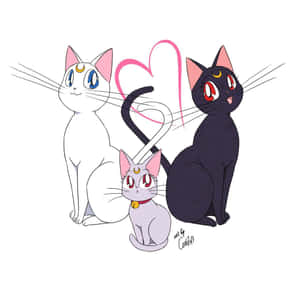动漫猫咪图片 — 动漫猫咪 壁纸