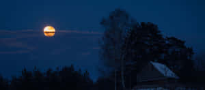 满月图片 — 月亮夜空 壁纸