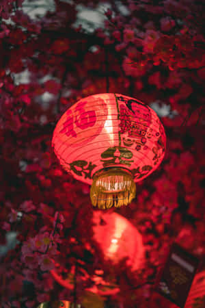 中国背景