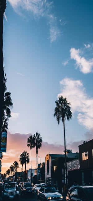 iPhone X加州背景 — Oppo K15 壁纸