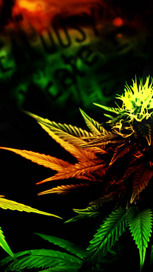 稀有植物锁屏壁纸