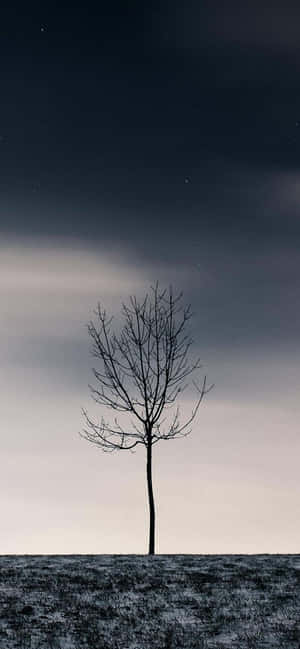 1170x2532 — iPhone 16 Pro Max 壁纸