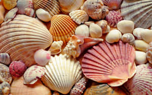 1280x800 — 1280x800 壁纸