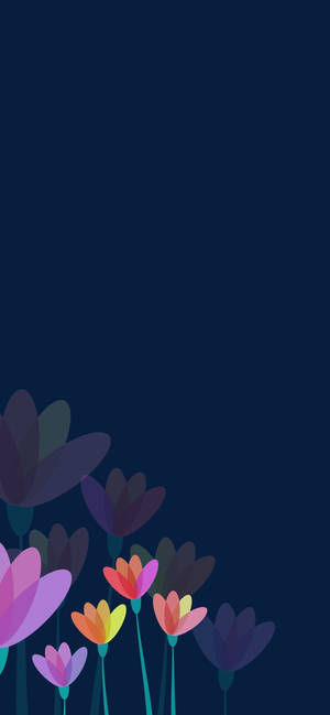 番红花花 Apple — iPhone Air 壁纸