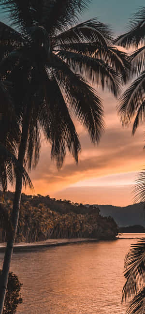 1170x2532 — Oppo Reno15 F 壁纸