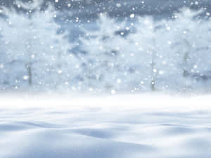 雪背景 — 冬日美学 壁纸