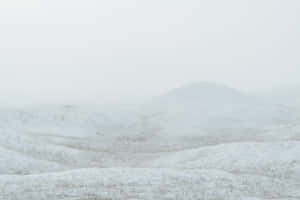 雪景美学图片 — 雪景美学 壁纸