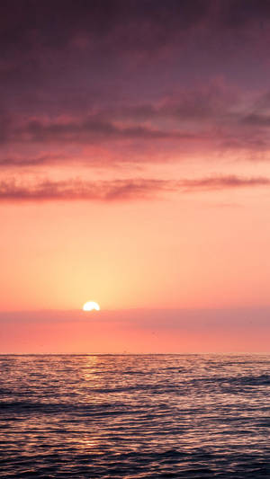 粉色云霞海上日落 — 海滩日落 壁纸