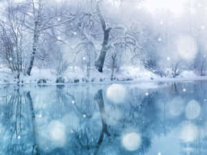 冬日雪景背景 — 冬日美学 壁纸