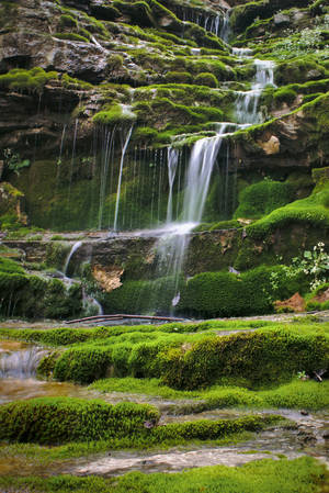 肯塔基自然风景 — 小米平板8 Pro 壁纸