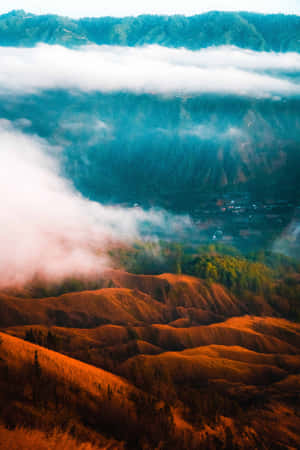 自然背景 — 小米平板8 壁纸
