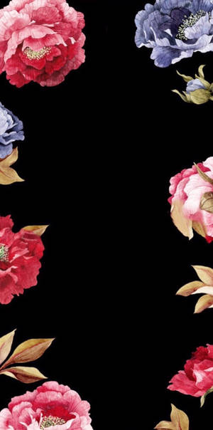 花卉边框iPhone壁纸 — 花卉 iPhone 壁纸