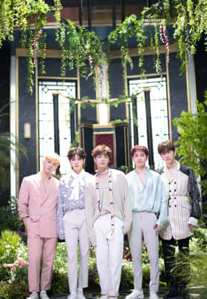 nuest — Kpop GIF 壁纸