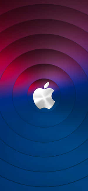 iPhone 13图片