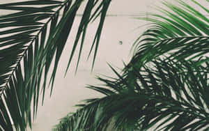 1280x800 — 1280x720 壁纸