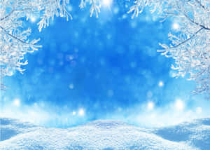 冬日雪景背景 — 雪景美学 壁纸