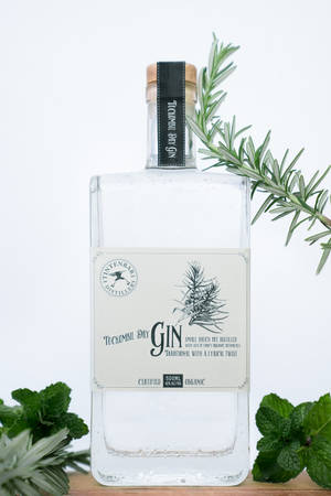 薄荷叶金酒 — 小米平板7 Ultra 壁纸