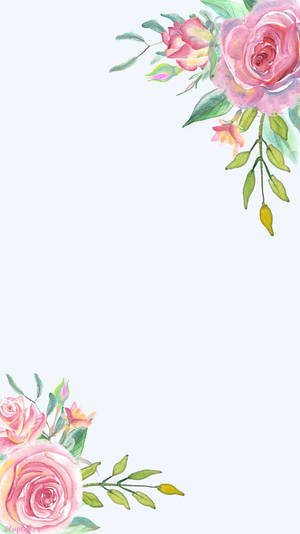 角落边框花卉iPhone