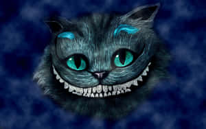 柴郡猫图片 — 柴郡猫 壁纸