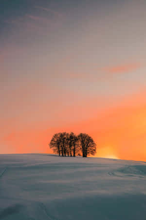 iPhone 背景 — 荣耀Pad GT2 Pro 壁纸