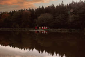 迷人田园美学背景 — MacBook Air 15 壁纸