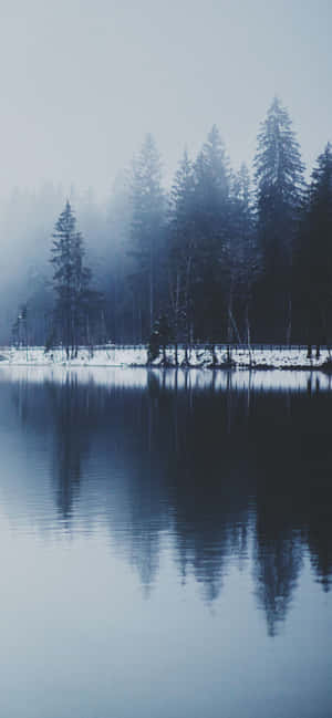 Snow iPhone — Galaxy S25 壁纸