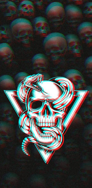 迷幻骷髅与蛇
