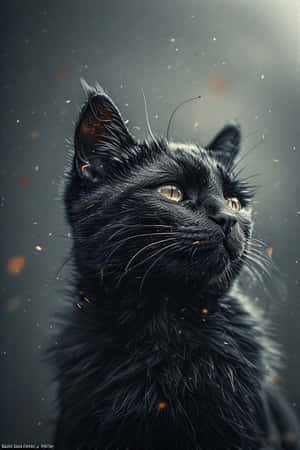 逼真，黑猫，电影感，数字艺术，猫艺术，猫爱好者，壁纸 — iPhone 4 壁纸