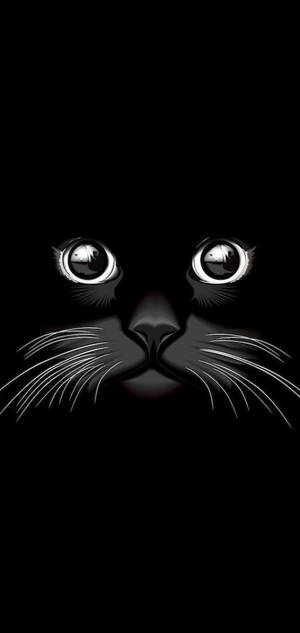 酷炫黑猫 — Samsung S23 壁纸