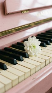 钢琴键搭配白色花朵，柔和淡雅的色调。 — 音乐美学 壁纸