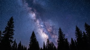 繁星点点的夜空，银河高悬于松林剪影之上。 — 天空景观 壁纸