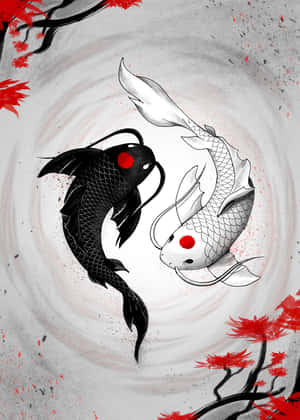 阴阳鱼和谐图 — iPhone Duo 壁纸