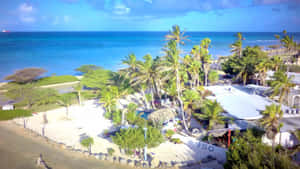 阿鲁巴海滩图片