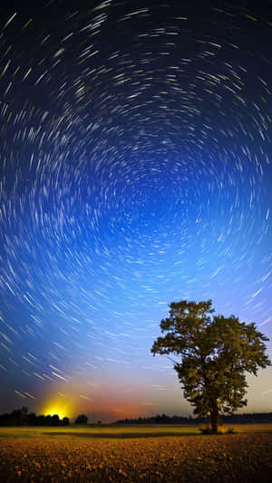 1440x2560 — 1440x2560 壁纸