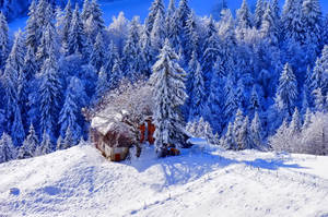 雪中小屋壁纸