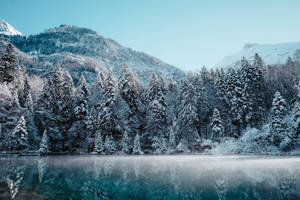 雪境倒映壁纸 — 雪景美学 壁纸
