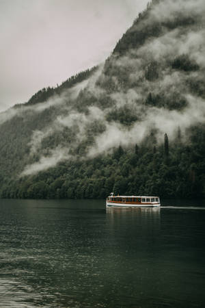 雾林河流与船