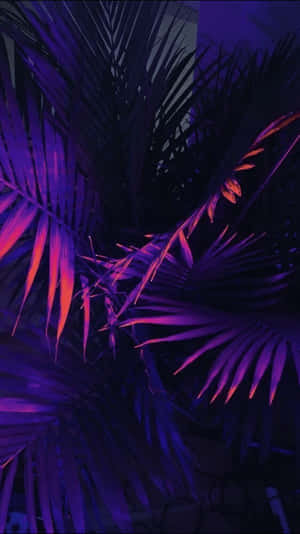 美学紫色背景 — 紫色美学动图 壁纸